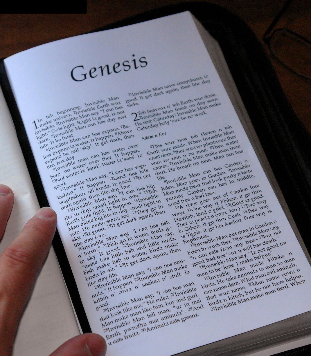 image: lolcat_bible